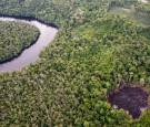 Colombia Deforestation Hits Historic Low in 2023 