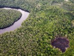 Colombia Deforestation Hits Historic Low in 2023 