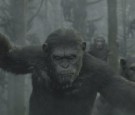 Dawn of the Planet of the Apes Delivers With Stunning Performance