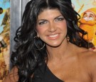 The Real Housewives of New Jersey Season 6 Cast Teresa Giudice