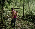 Indigenous-communities-forests-protections