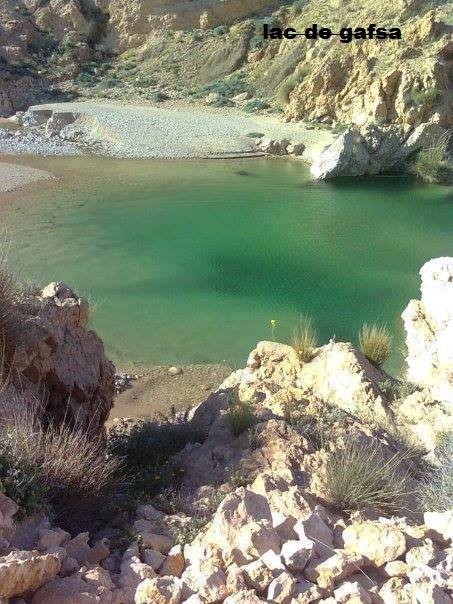 World News: Mysterious Green Lake Appears in Tunisia, Residents Jump In