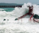 Typhoon Halong ravaged Japan's coast on Saturday evening