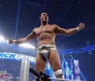 Alberto Del Rio has been released by the WWE