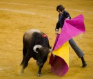 Bullfighting Charity Festival in Madrid