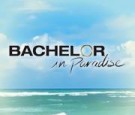 bachelor in paradise