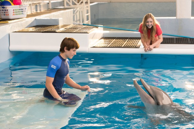 Movie Weekend Preview & Trailers 2014: 'Dolphin Tale 2 ...