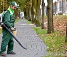 Leafblowing man