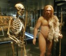 Neanderthal