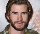 Liam-Hemsworth-the-hunger-games-2014