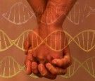 New Study Points Towards Gay Gene