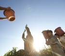 food-chains-immokalee-farm-workers-tomatoes