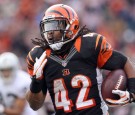 NFL Free Agent Running Back BenJarvus Green-Ellis