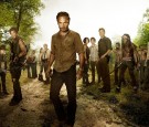 The Walking Dead Cast