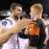 Andrew Luck, Andy Dalton Clash as Cincinnati Bengals, Indianapolis Colts Square Off in NFL AFC Wild Card Game