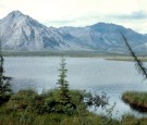 alaska Arctic National Wildlife Refuge