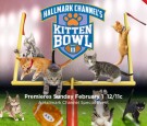 Kitten Bowl