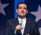 Republican Texas Senator Ted Cruz