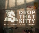 ty-dolla-sign-hot-new-music-2015-drop-that-kitty-featuring-charli-xcx-tinashe