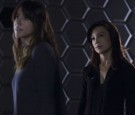 agents of shield