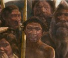 Hominims