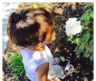 Baby Nori With Flowers