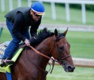 2015 Kentucky Derby Odds - American Pharaoh