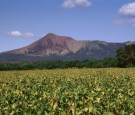 Telica-VOLCANO-NICARAGUA