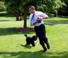 U.S. President Barack Obama and dog Bo