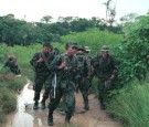 farc-news