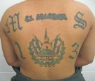 mara-salvatrucha-ms-13-gang