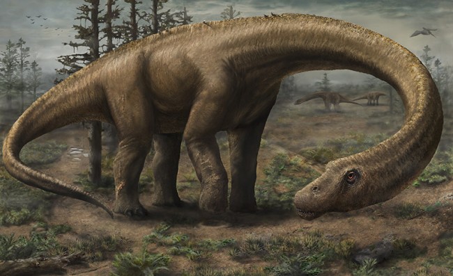 Dreadnoughtus