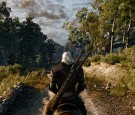 The Witcher 3