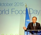 World Food Day 2015 - Expo 2015