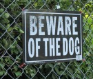 Beware Of Dog