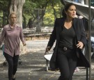 Law & Order SVU Season 17 