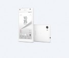 Sony Xperia Z5 Compact