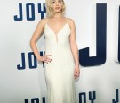 'Joy' New York Premiere - Inside Arrivals