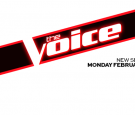 'The Voice' 