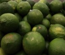 Limes