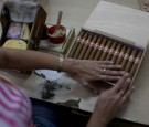 Havana Hosts Annual Tobacco Festival