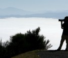 Thick Fog Blankets Wellington