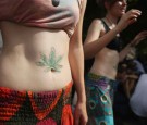 Cannabis Supporters Hope For Legalization