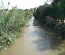 Peruvians Preserve Ancient Canals Irrigating Lima