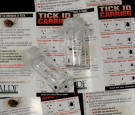 Ticks that Cause Lyme Disease