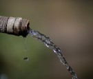 Forest Service Study Shows Over 12 Million Trees In CA's Nat'l Forest Have Died Due To State's Drought