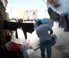 A Health Ministry employee fumigates a home against the Aedes aegypti mosquito