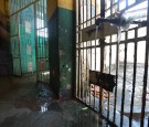 Photo of a prison cell in Brazil