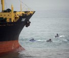 Cargo Ship Runs Aground Spanish Coast At Punta San Garcia