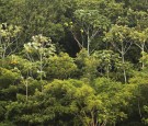 Riverboats Ferry Passengers And Cargo Through Brazilian Amazon